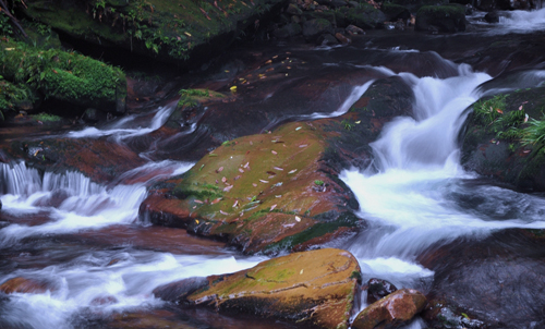 点此在新窗口浏览图片