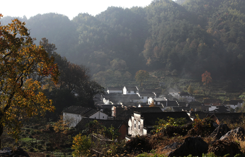 点此在新窗口浏览图片