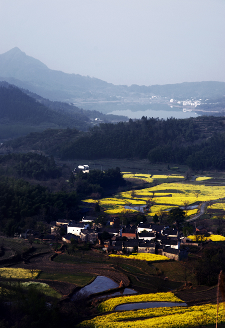 点此在新窗口浏览图片