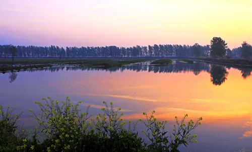 点此在新窗口浏览图片