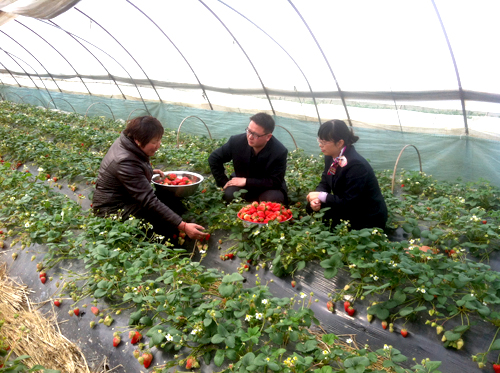点此在新窗口浏览图片