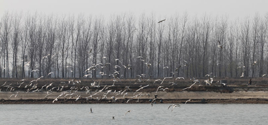 点此在新窗口浏览图片