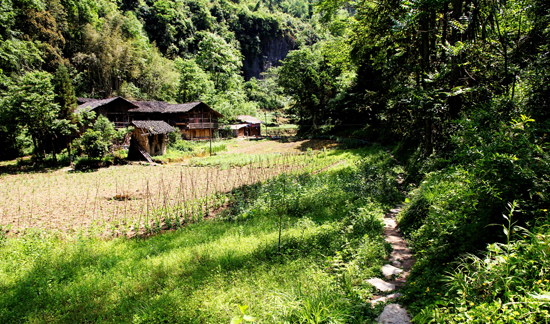 点此在新窗口浏览图片