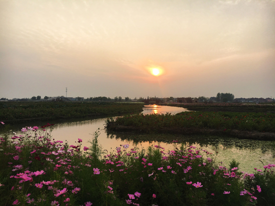 点此在新窗口浏览图片