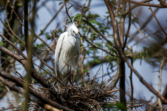 点此在新窗口浏览图片
