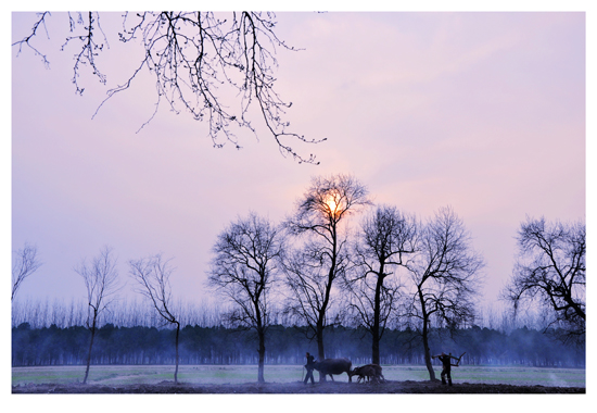 点此在新窗口浏览图片
