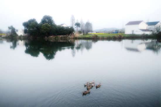 点此在新窗口浏览图片