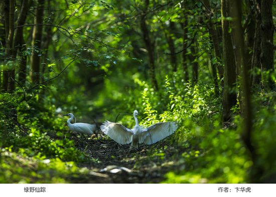 点此在新窗口浏览图片