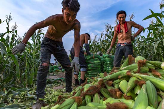 点此在新窗口浏览图片