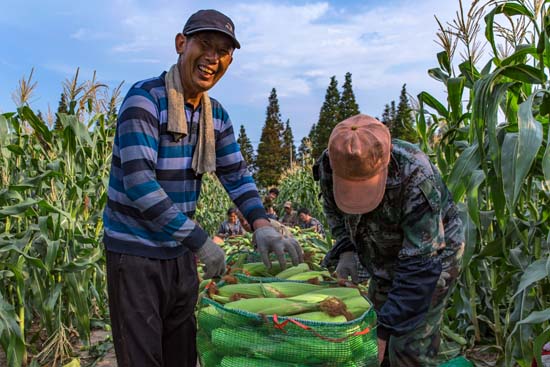 点此在新窗口浏览图片