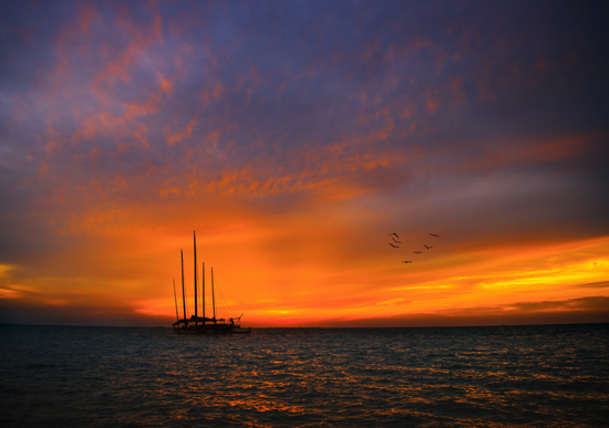 点此在新窗口浏览图片