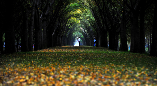 点此在新窗口浏览图片