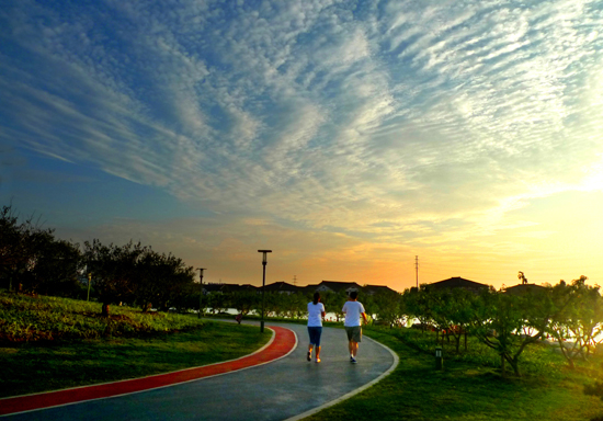 点此在新窗口浏览图片