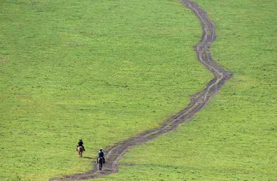 点此在新窗口浏览图片