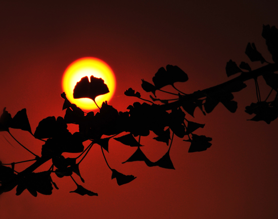 点此在新窗口浏览图片