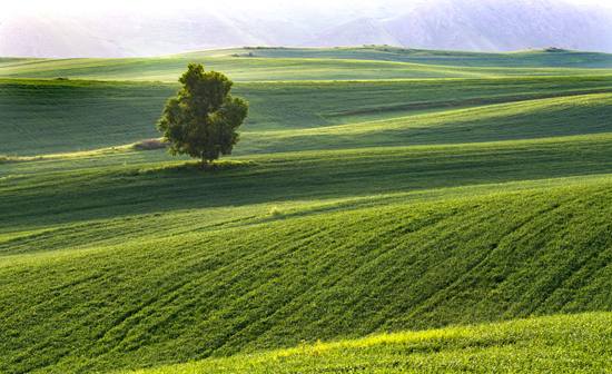 点此在新窗口浏览图片