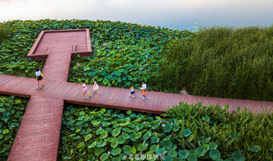 点此在新窗口浏览图片