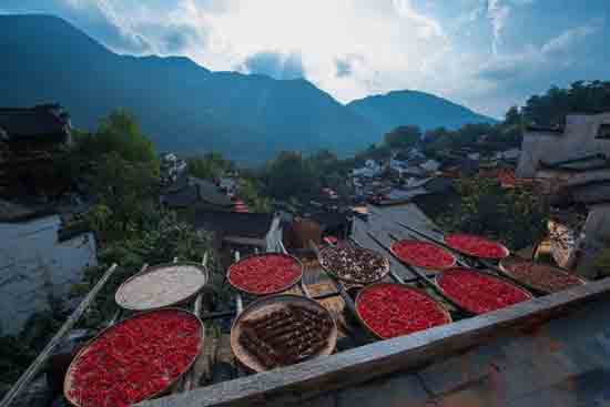 点此在新窗口浏览图片