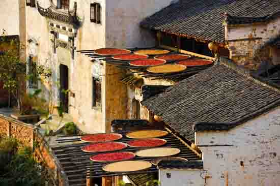 点此在新窗口浏览图片