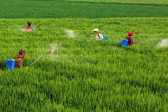 点此在新窗口浏览图片