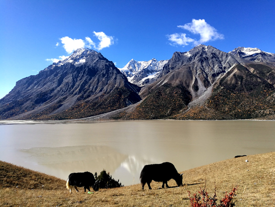 点此在新窗口浏览图片