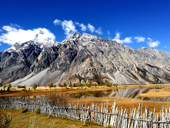 点此在新窗口浏览图片