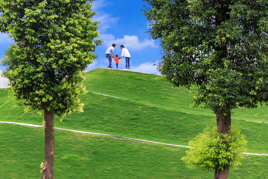 点此在新窗口浏览图片