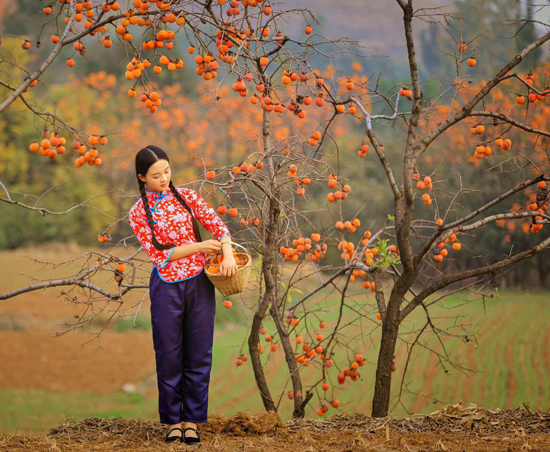点此在新窗口浏览图片
