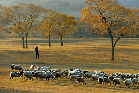 点此在新窗口浏览图片