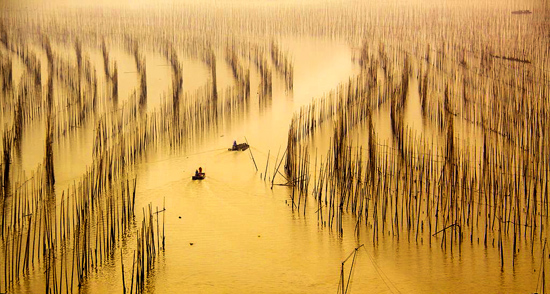 点此在新窗口浏览图片