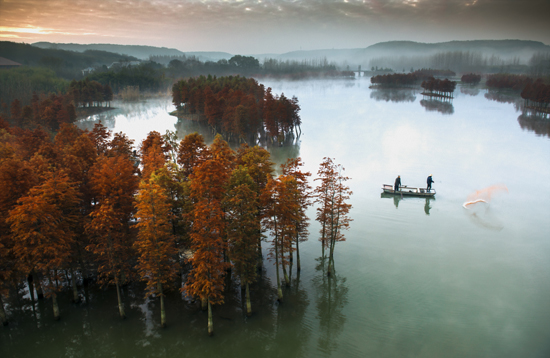 点此在新窗口浏览图片