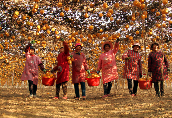 点此在新窗口浏览图片