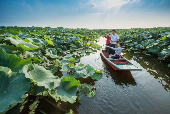 点此在新窗口浏览图片